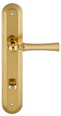 Дверная ручка на планке Extreza "DEZI" 309 PL05-WC-96-F07-F01 матовая латунь глянец / латунь / планка латунь