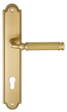 Дверная ручка на планке Extreza BENITO-PL03-CYL-85-F07 (BENITO 307) матовая латунь глянец