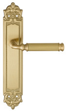 Дверная ручка на планке Extreza BENITO-PL02-F07 (BENITO 307) матовая латунь глянец