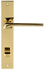 Дверная ручка на планке Extreza ERICA-PL13-WC-96-F06-PVD (ERICA 119) полированная латунь PVD