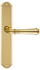 Дверная ручка на планке Extreza CANNA-PL01-F01 (CANNA 327) полированная латунь