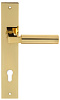 Дверная ручка на планке Extreza STEM-PL13-CYL-85-F01-F06 (STEM 135) полированная латунь / латунь PVD